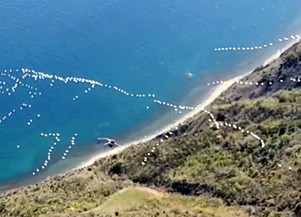 Pelikanlar gökyüzünü süsledi!