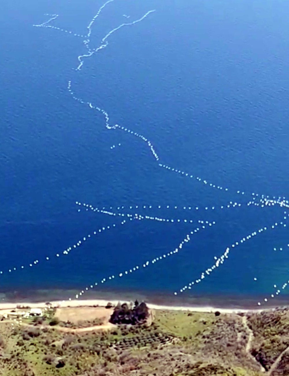 Pelikanlar gökyüzünü süsledi!