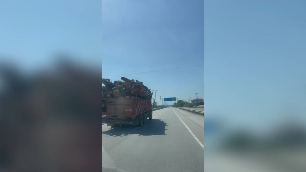 D-100’de tomruk kamyon sürücülere korku dolu anlar yaşattı