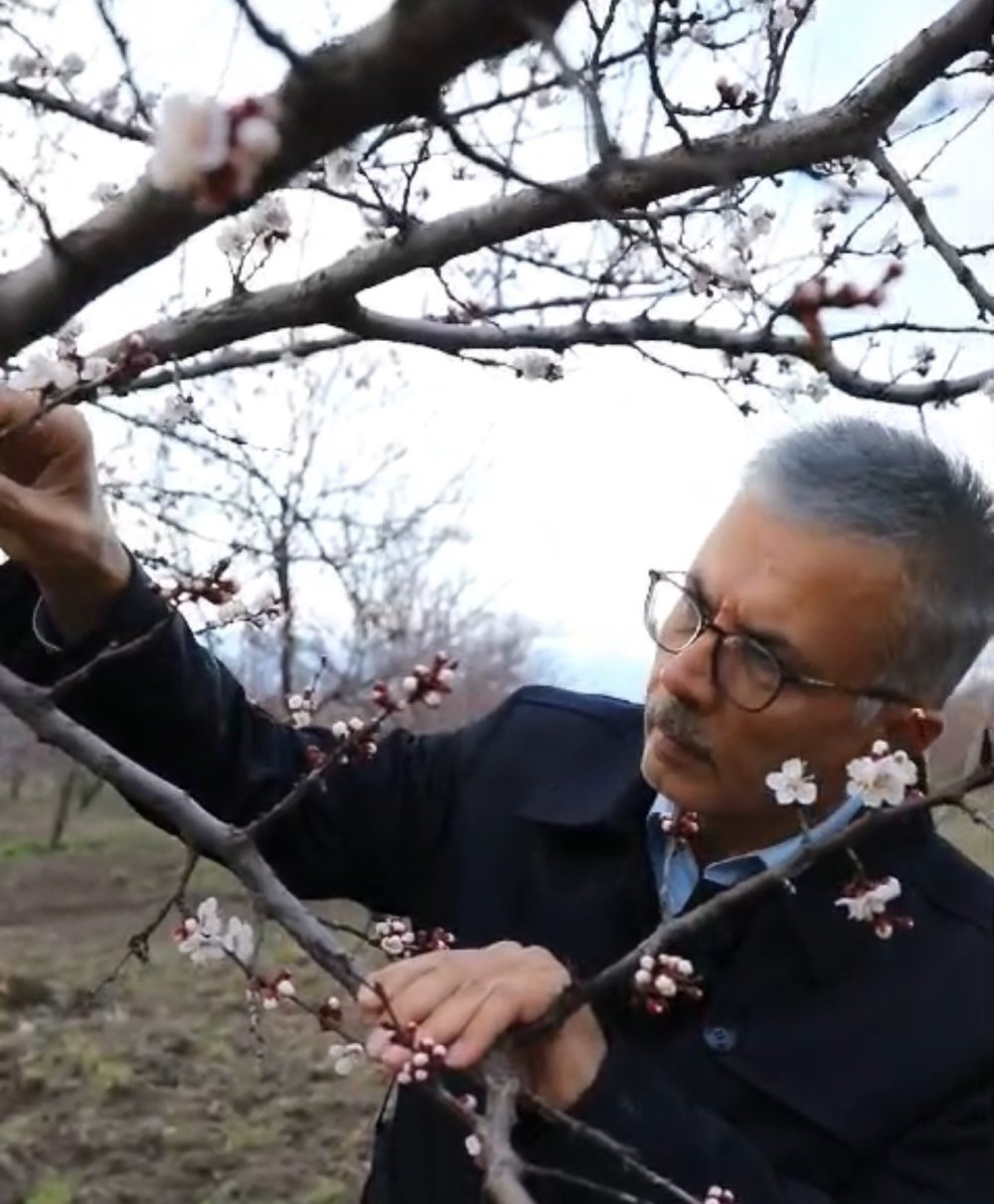 Malatya’da en şiddetli zirai don yaşandı