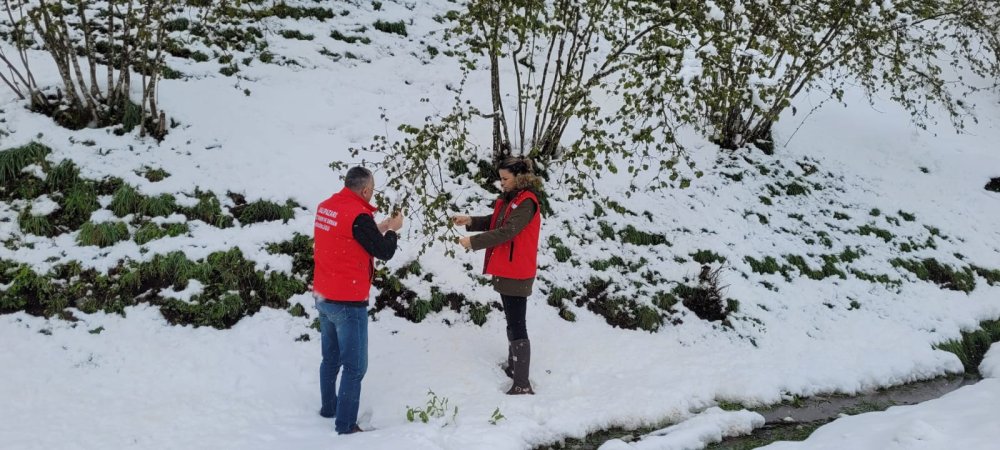Samsun'da 'zirai don'! 3 ürün de tehlikede