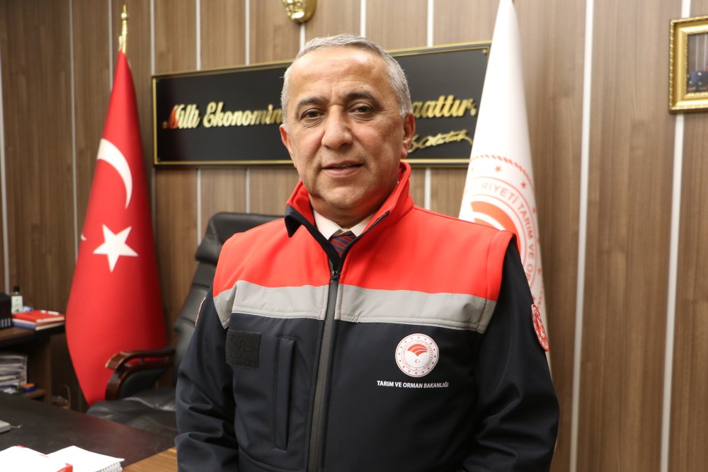 Samsun'da 'zirai don'! 3 ürün de tehlikede