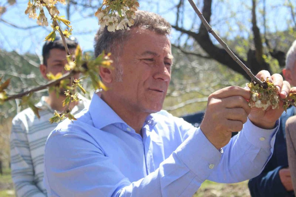 Don olayı tarımı felç etti!