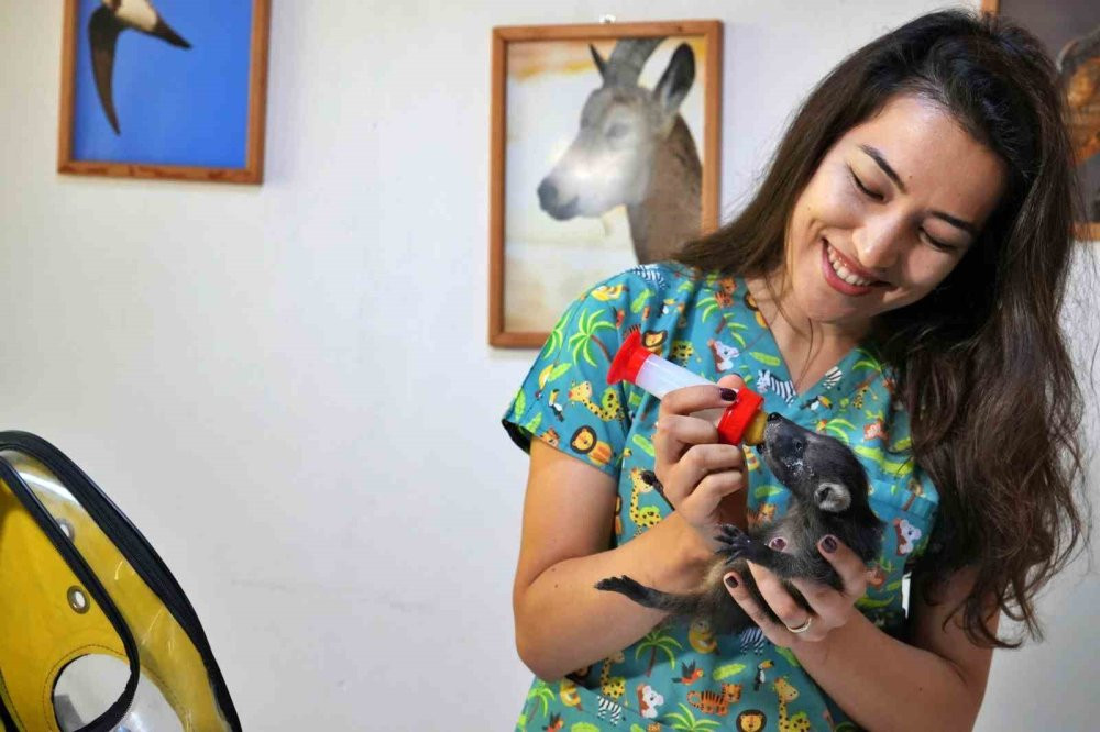 Gece gündüz şefkat: Yavru hayvanların hayat hikâyesi