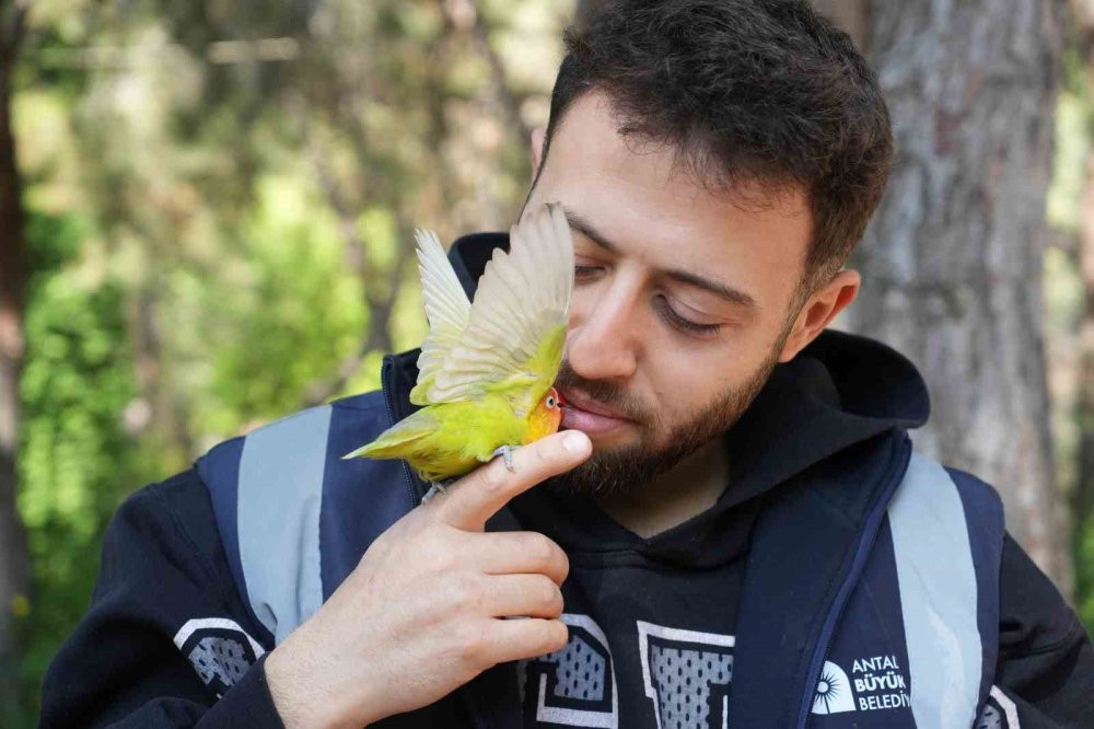 Gece gündüz şefkat: Yavru hayvanların hayat hikâyesi