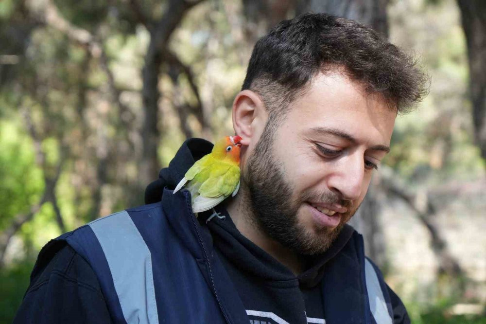 Gece gündüz şefkat: Yavru hayvanların hayat hikâyesi