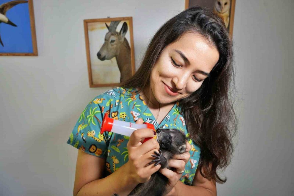 Gece gündüz şefkat: Yavru hayvanların hayat hikâyesi