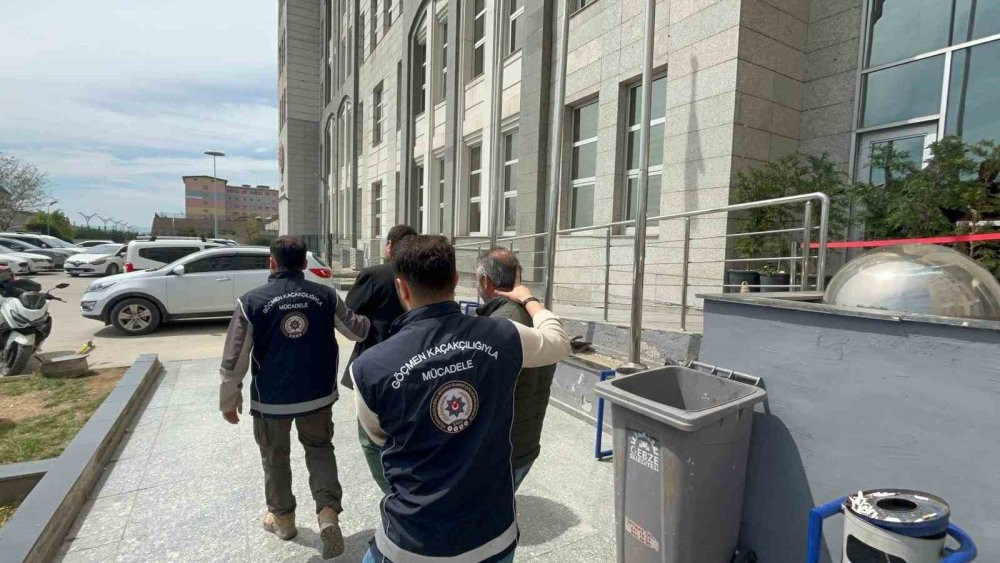 Kocaeli'nde 7 kaçak göçmen yakalandı