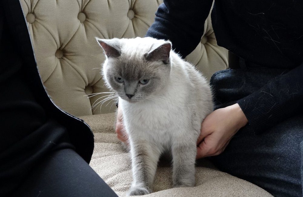 10 günlük hasret sona erdi! Trabzon'da Badem’i bulana altın hediye