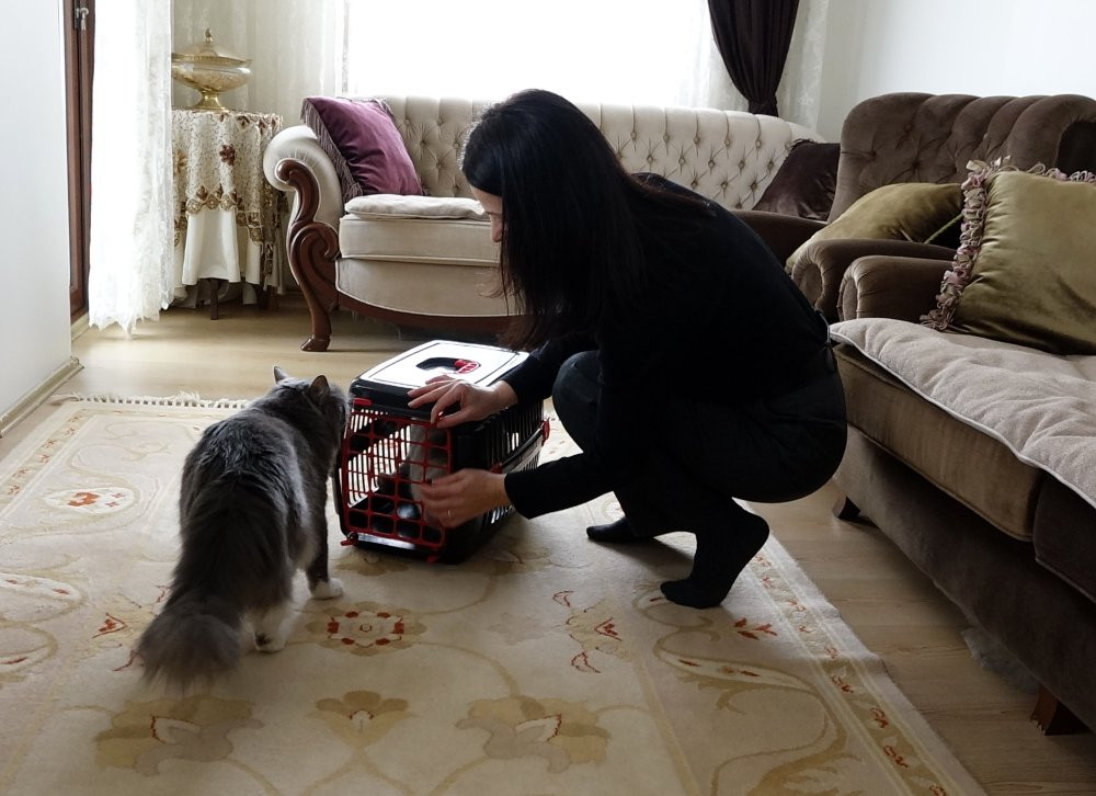 10 günlük hasret sona erdi! Trabzon'da Badem’i bulana altın hediye