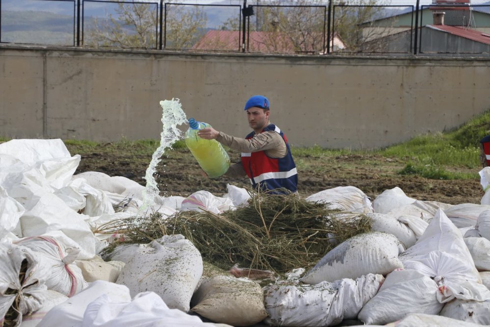 Koça şehri duman kapladı! Hepsi kül oldu piyasa değeri 10 milyar liraydı