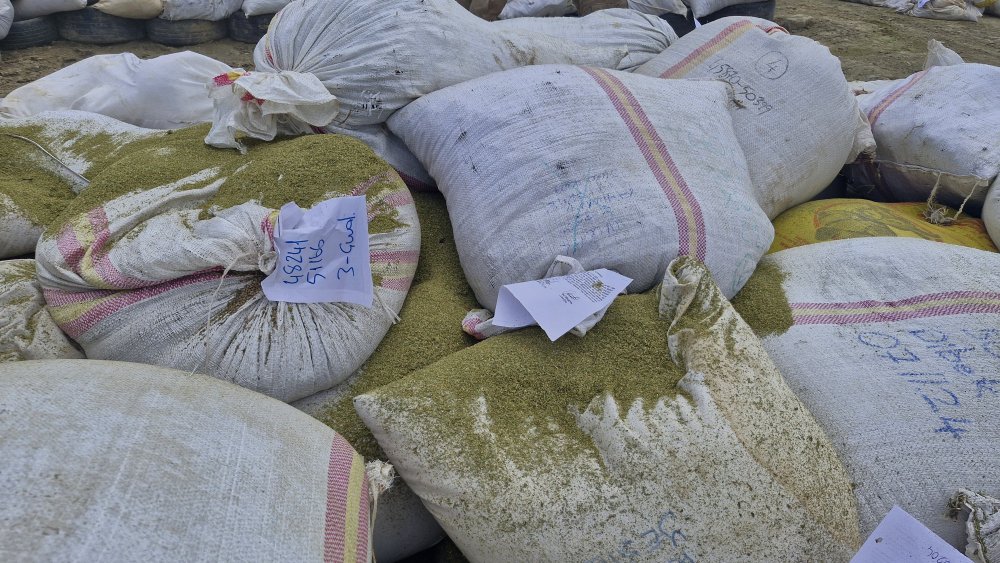 Koça şehri duman kapladı! Hepsi kül oldu piyasa değeri 10 milyar liraydı