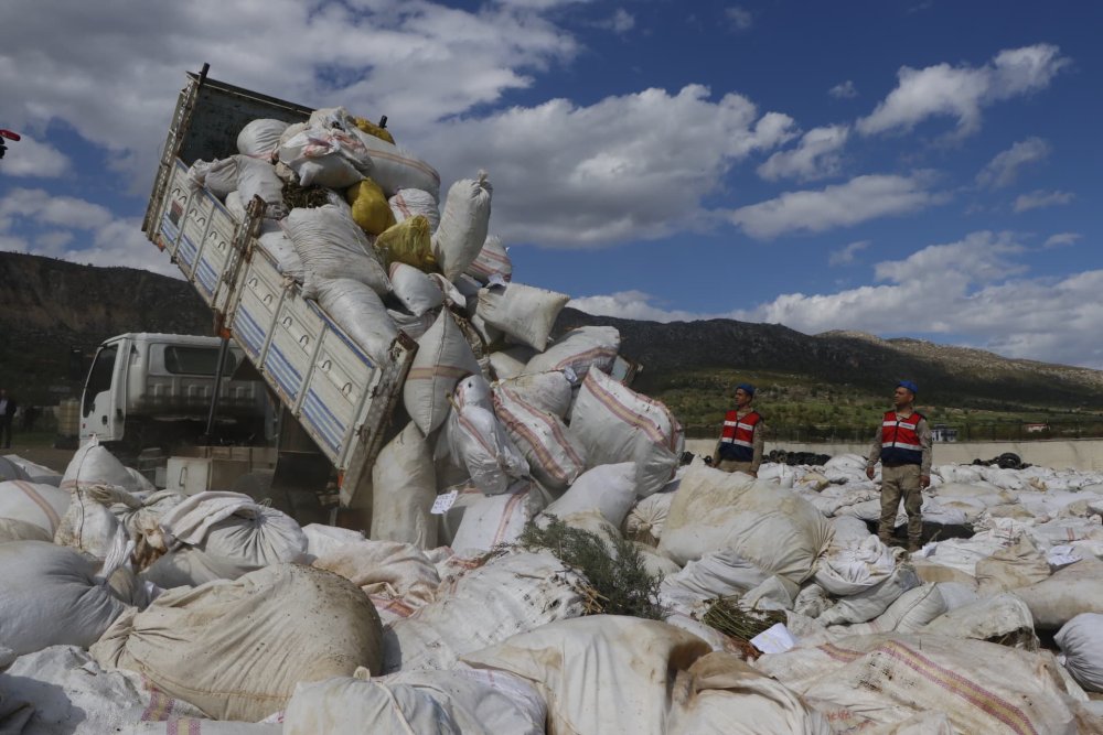 Koça şehri duman kapladı! Hepsi kül oldu piyasa değeri 10 milyar liraydı