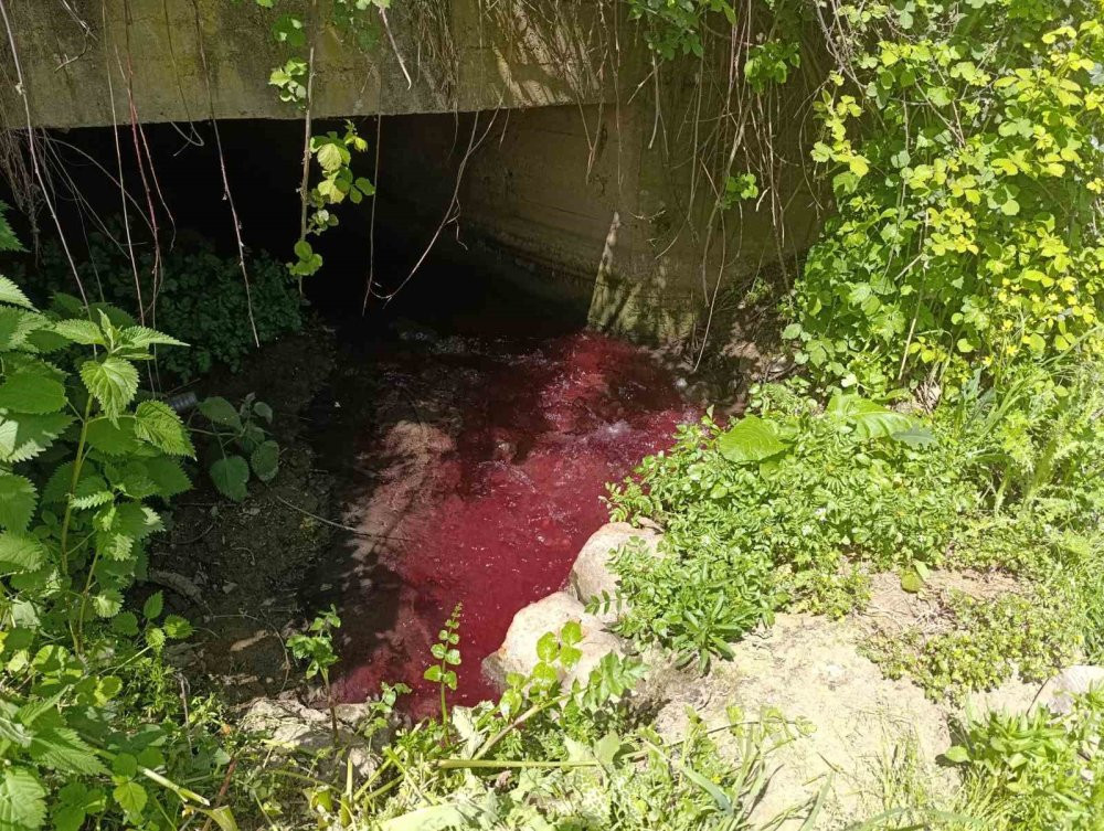 Dereye bakın bir daha bakıyor! Çiftçiler çaresiz: Tarlalar kurumaya başladı