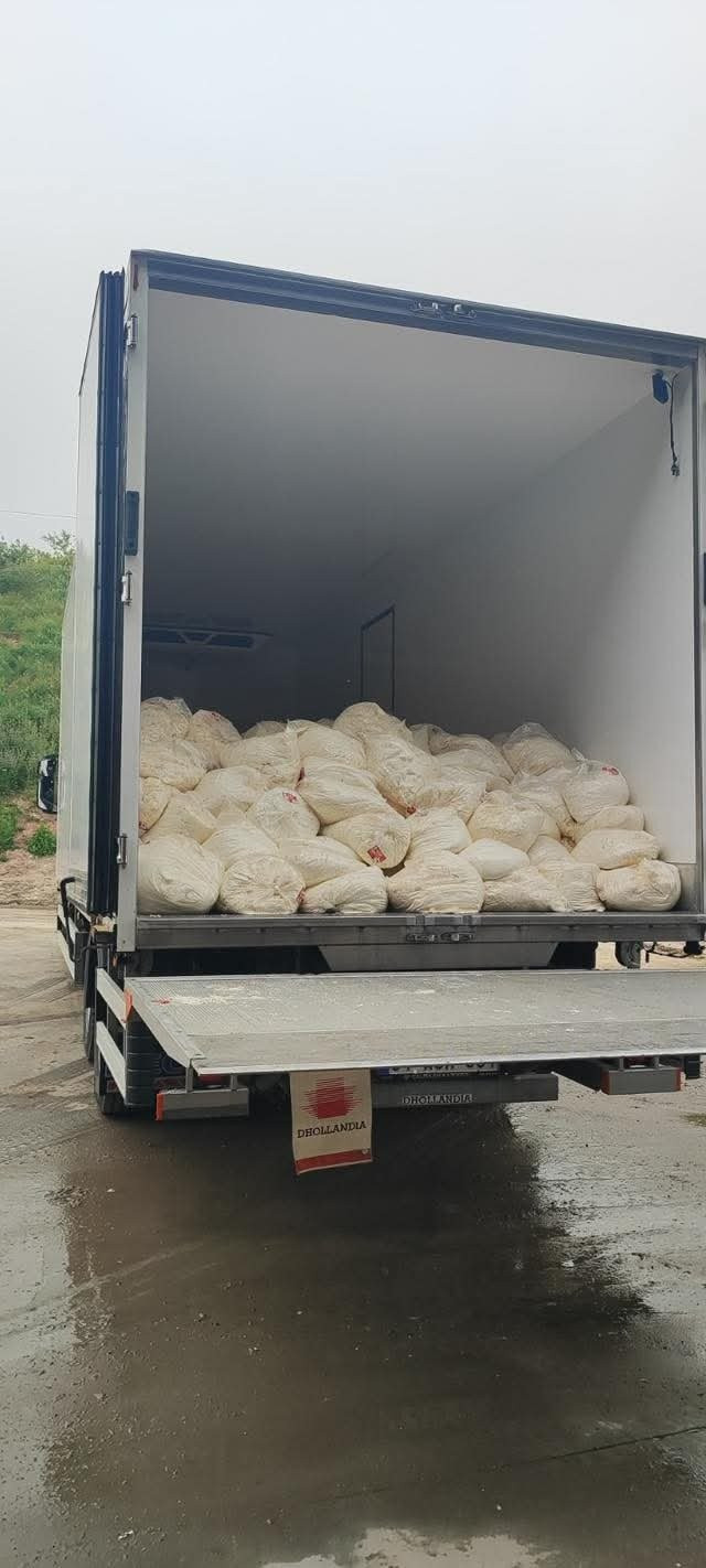 İnsan sağlığını tehlikeye atacaklardı... Son tüketim tarihi geçmiş tonlarca peynir ele geçirildi