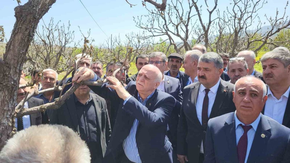 Zirai don 65 ilde çiftçiyi vurdu: Bahçelerde inceleme başladı