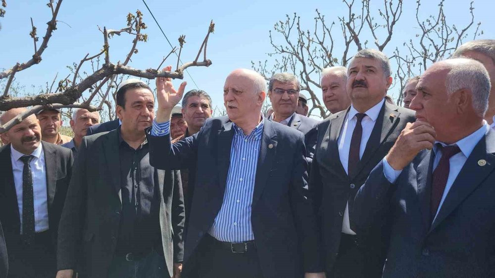 Zirai don 65 ilde çiftçiyi vurdu: Bahçelerde inceleme başladı