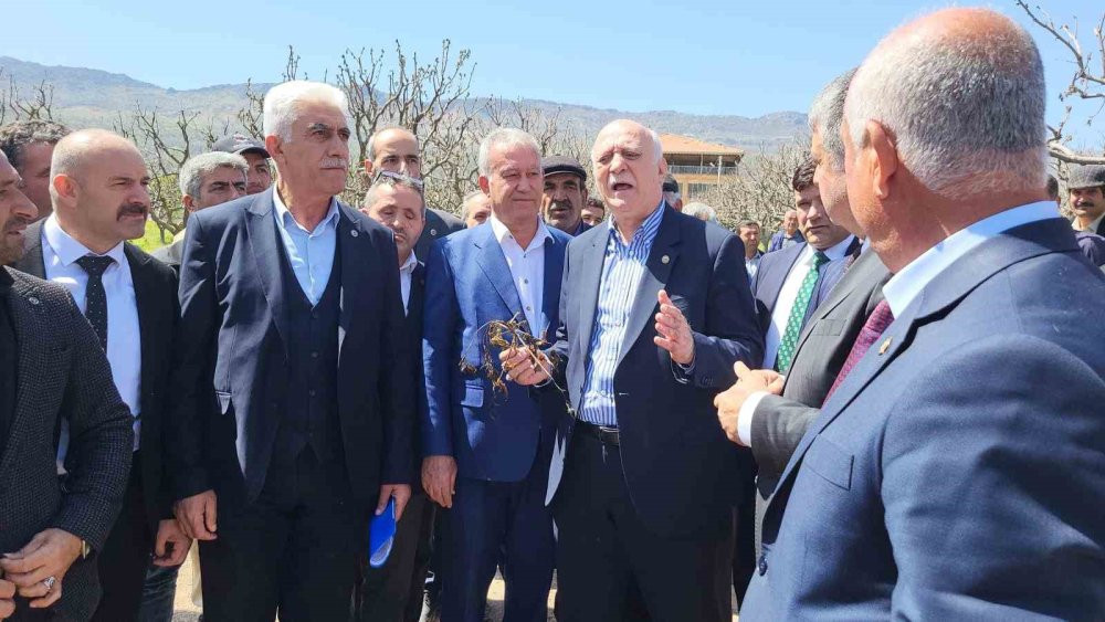 Zirai don 65 ilde çiftçiyi vurdu: Bahçelerde inceleme başladı