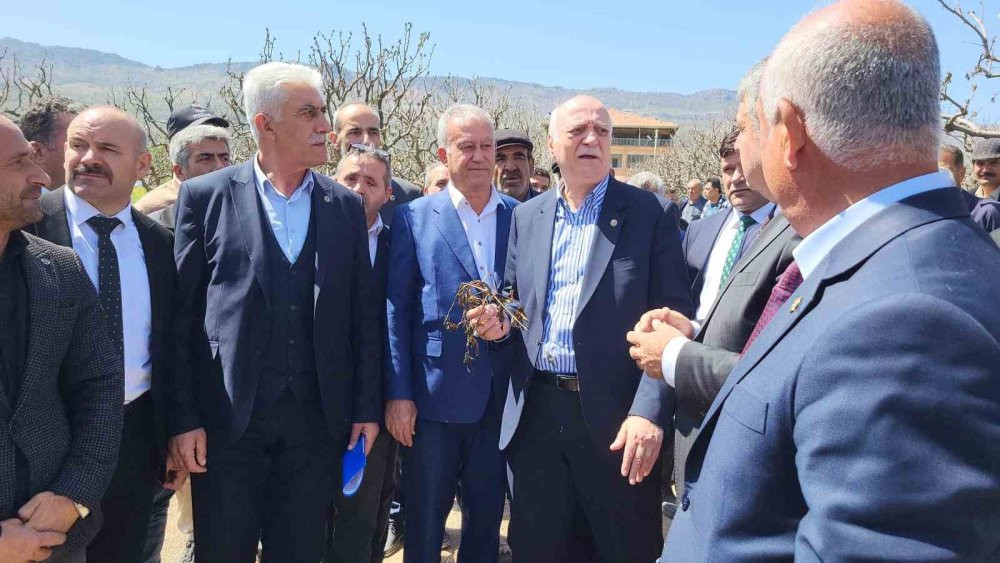Zirai don 65 ilde çiftçiyi vurdu: Bahçelerde inceleme başladı