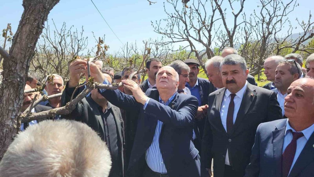 Zirai don 65 ilde çiftçiyi vurdu: Bahçelerde inceleme başladı