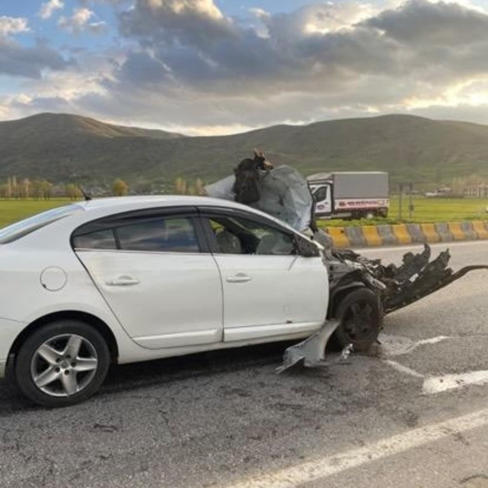 Bitlis'te otomobil hayvana çarptı