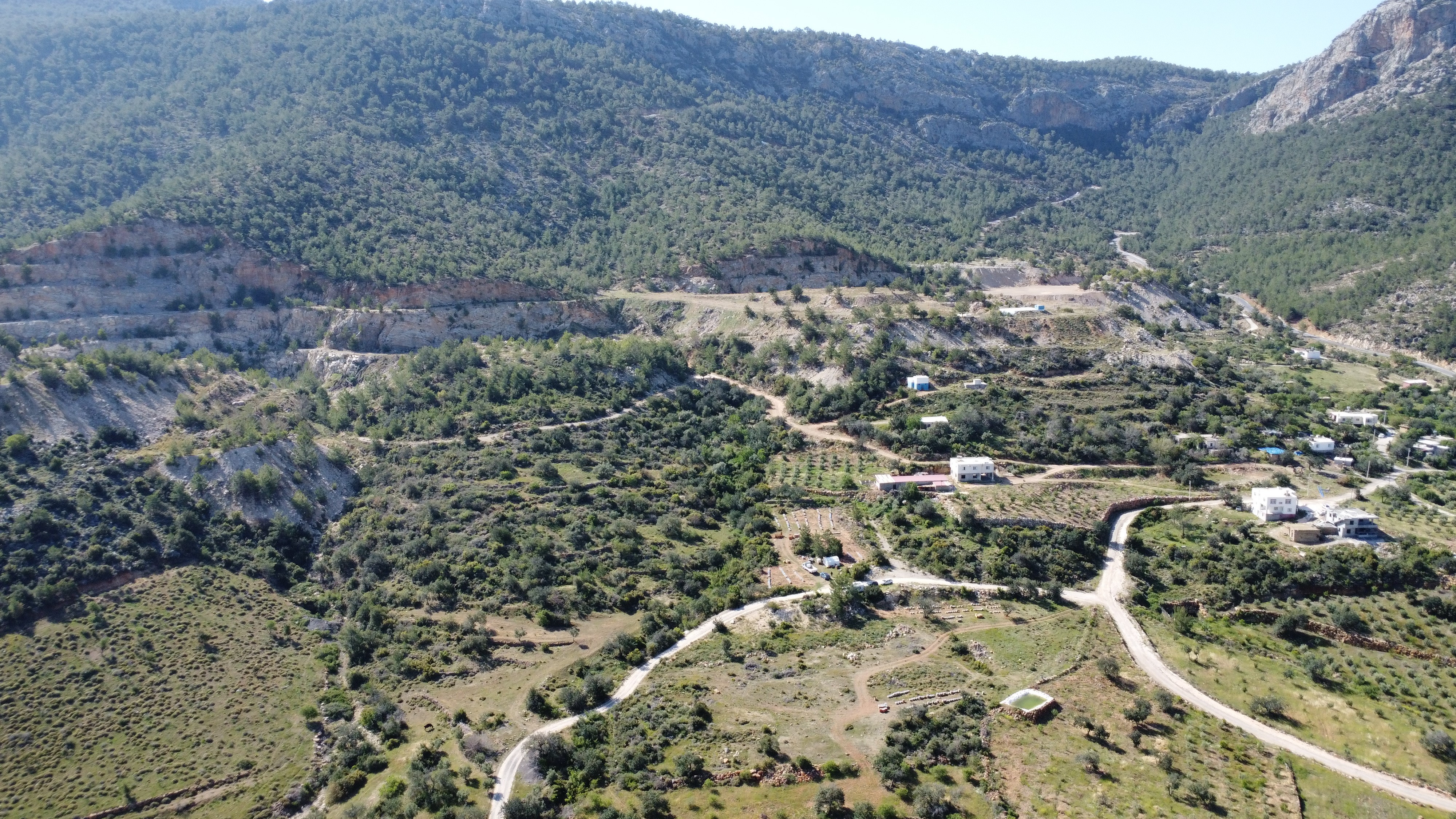 sari-altin-ari-poleninde-hasat-basladi-kisirligi-tedavi-ediyor-alerjiyi-aninda-bitiriyor-kilosu-bin-300-lira-yenicag-8.jpg