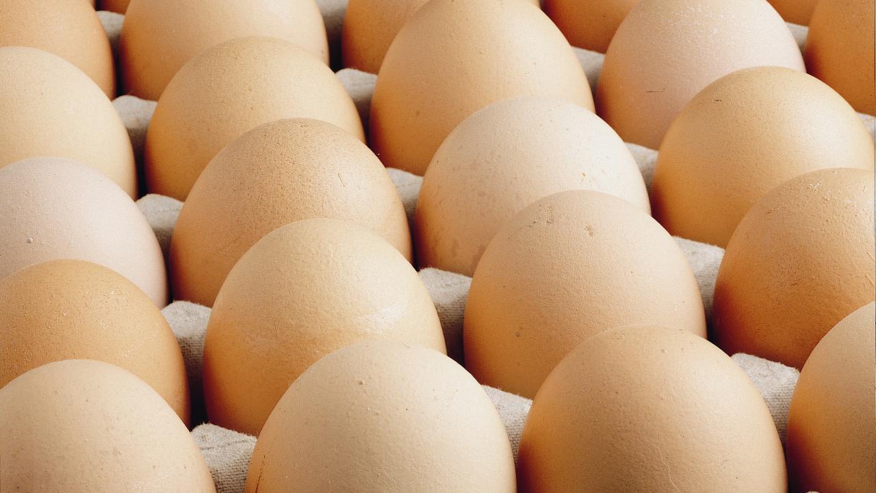 yumurtaa.jpg
