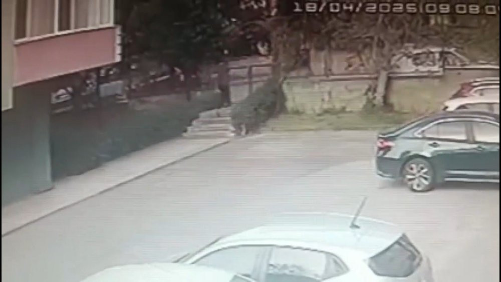 Pendik’te Özbek sevgilini bıçaklayarak öldürdü! 39 gün önce İstanbul’a gelmişti