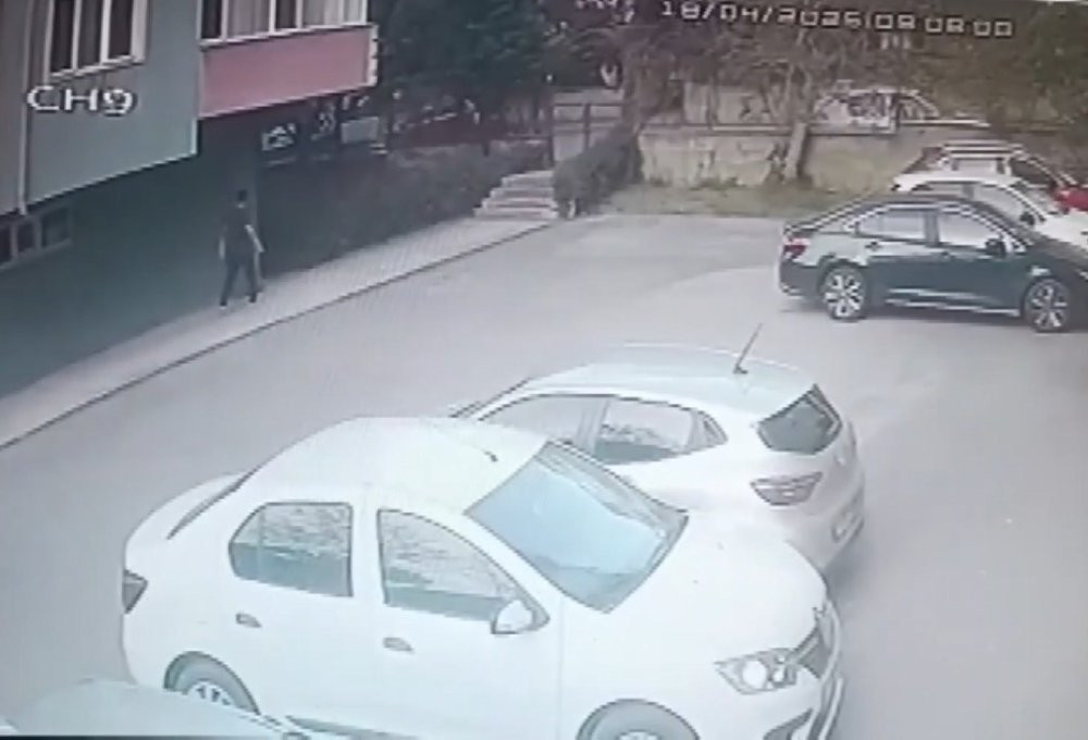 Pendik’te Özbek sevgilini bıçaklayarak öldürdü! 39 gün önce İstanbul’a gelmişti