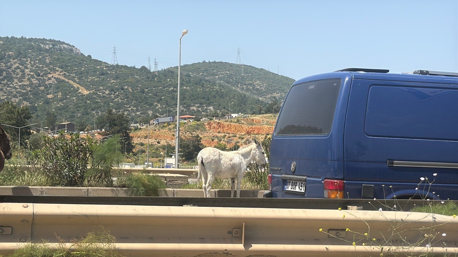 esekler-bodrum-trafigini-felc-etti-yenicag-1.jpg