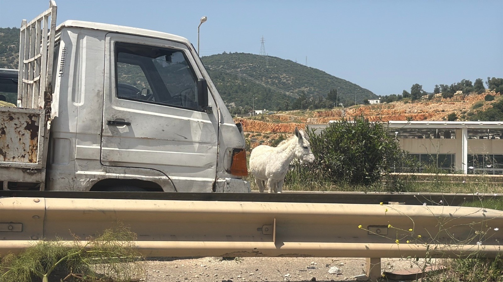 esekler-bodrum-trafigini-felc-etti-yenicag-2.jpg