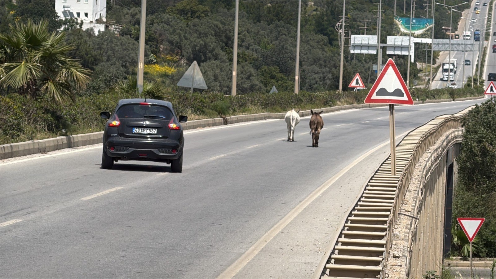 esekler-bodrum-trafigini-felc-etti-yenicag-3.jpg