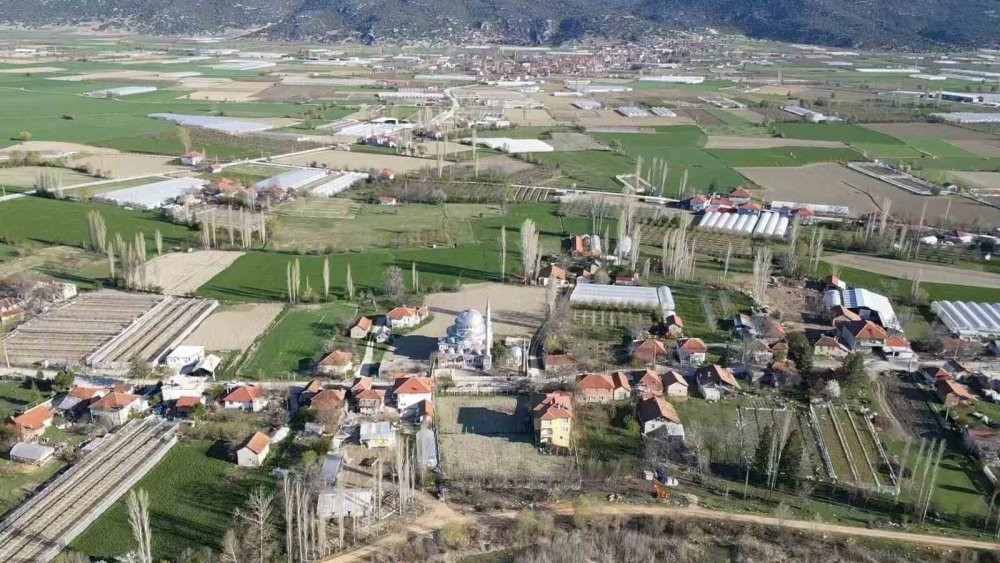 Yıllardır aynı leylek, aynı camiye geliyor