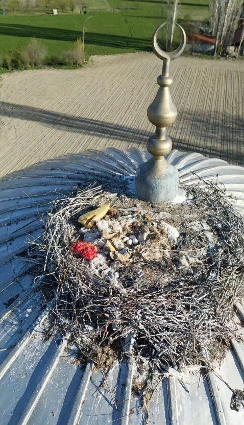 Yıllardır aynı leylek, aynı camiye geliyor