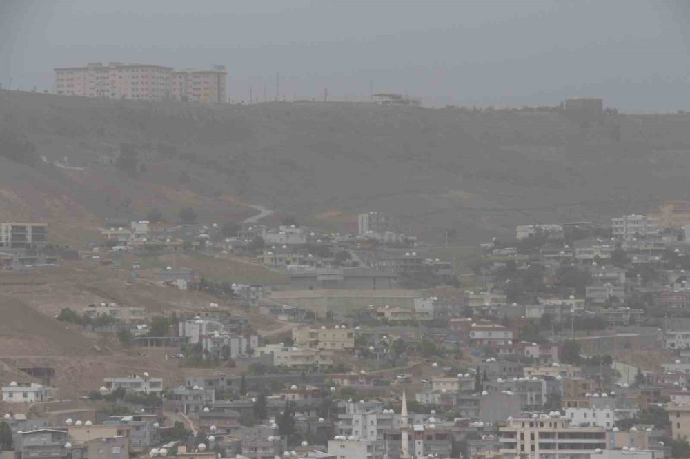 Cizre’de toz taşınımı hayatı olumsuz etkiledi