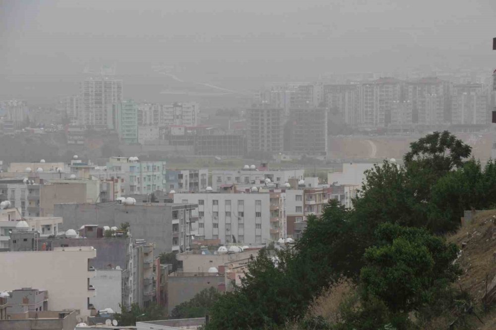 Cizre’de toz taşınımı hayatı olumsuz etkiledi