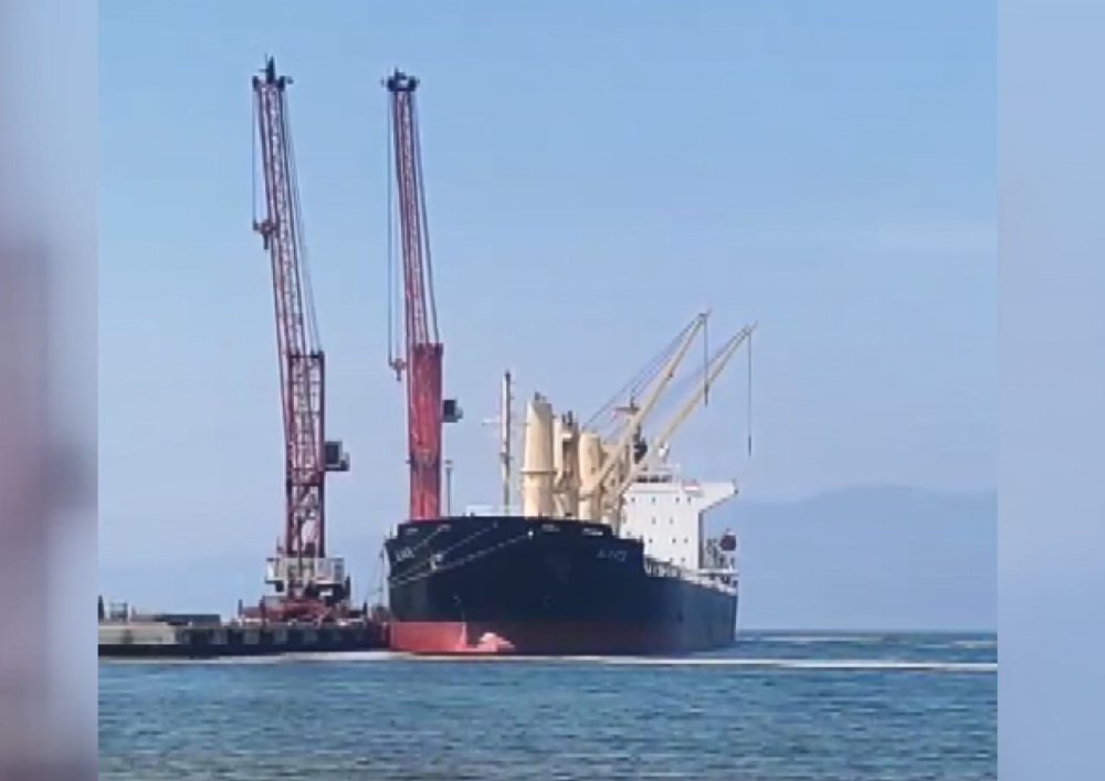 Gemlik Körfezi'nde yaşamı yok etti! Balıkçıları işsiz bıraktı