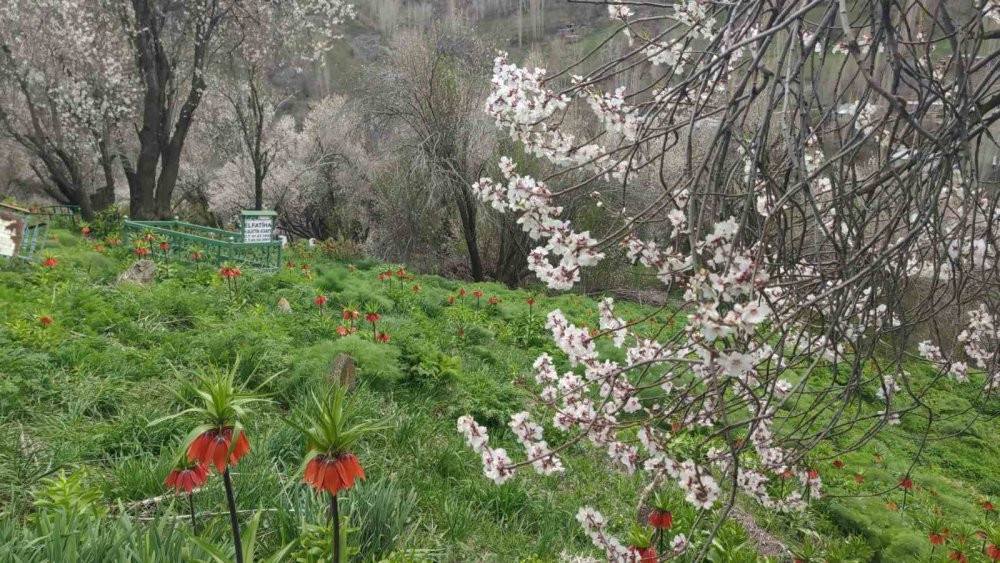 Van’da 3 bin rakımda kış, bin 850 rakımda bahar