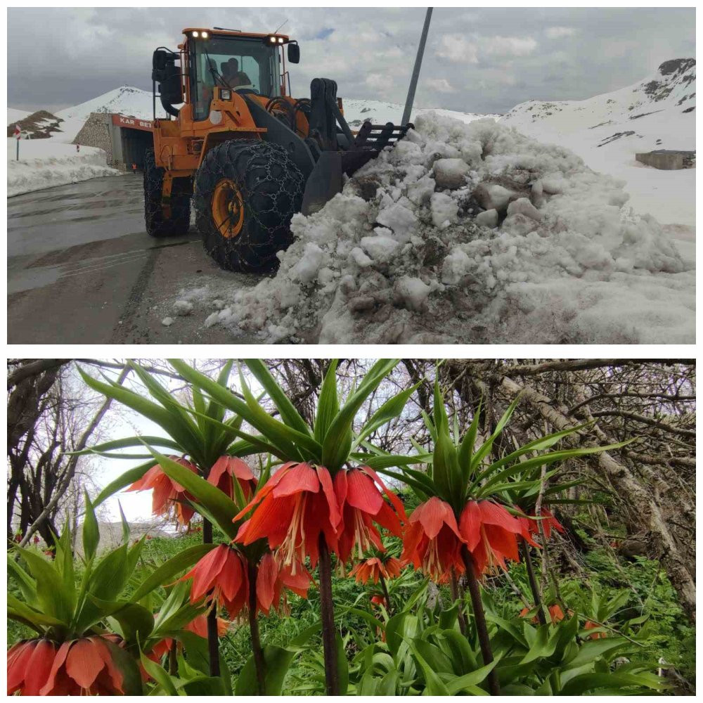Van’da 3 bin rakımda kış, bin 850 rakımda bahar