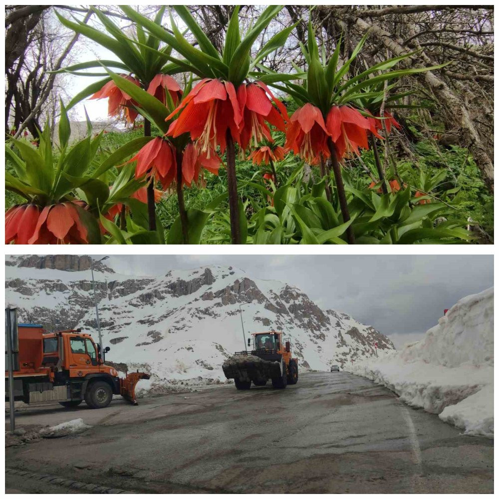 Van’da 3 bin rakımda kış, bin 850 rakımda bahar