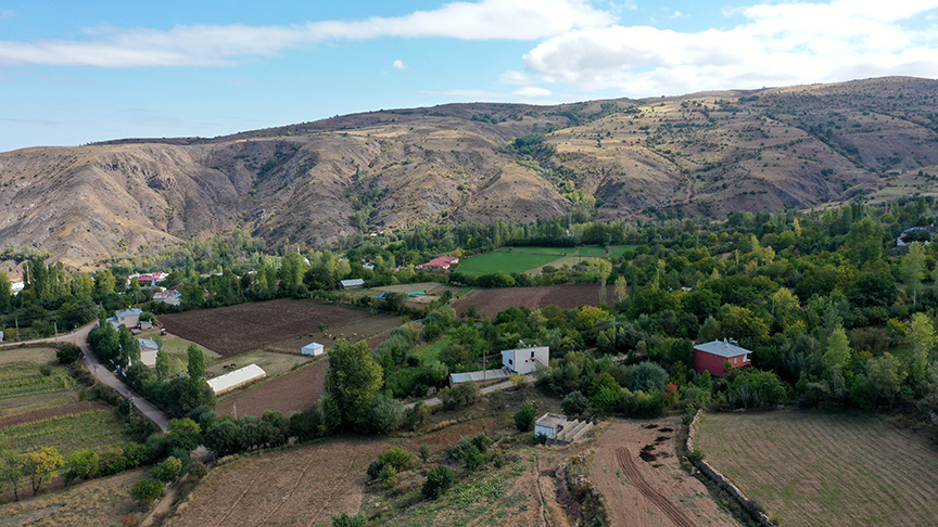 20222fekim2faa-29244128.jpg