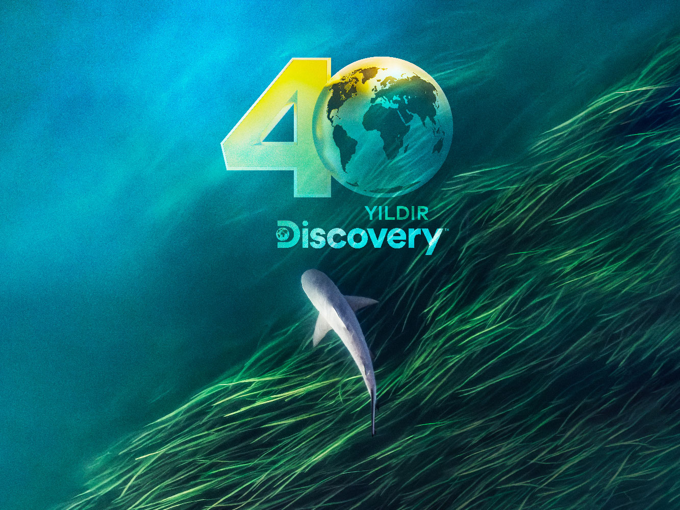 discovery-channel-40-yasini-kutluyor.jpg