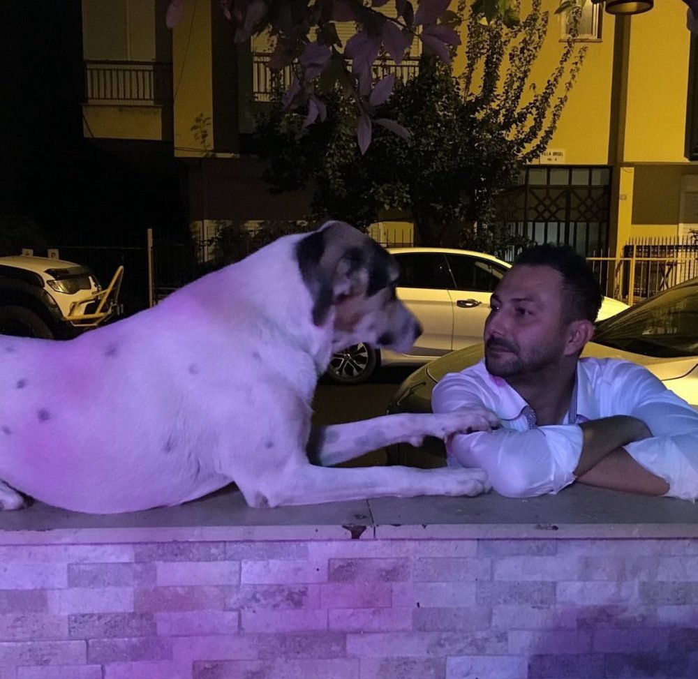 83 yaşındaki emekli polis evden silahı alıp köpeği öldürdü! Tek suçu havlamaktı