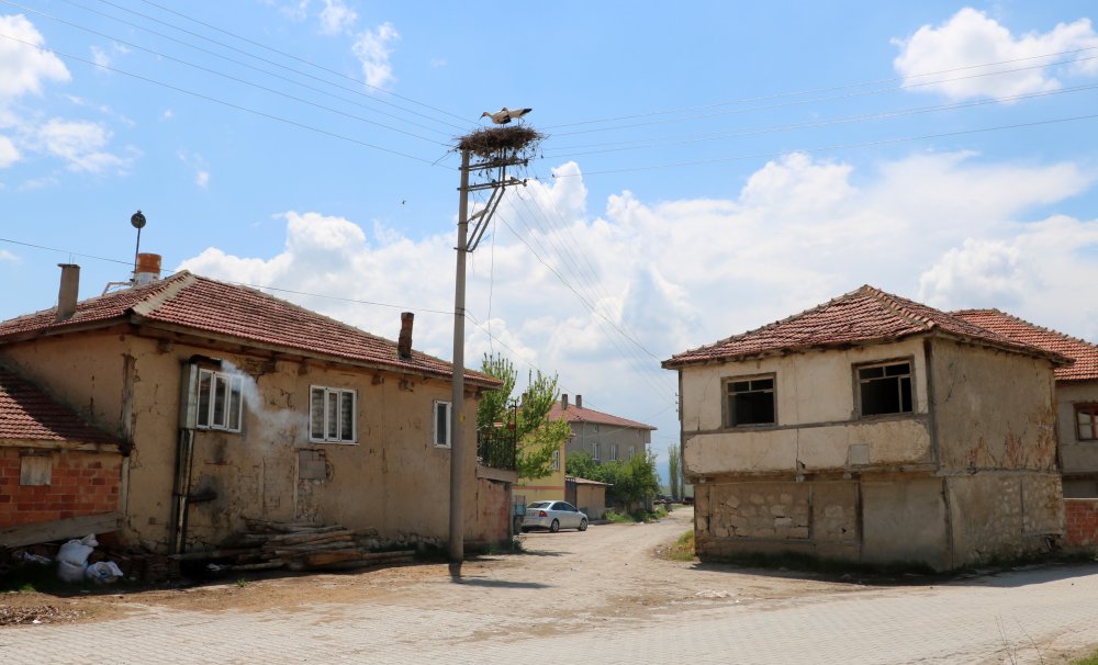 elektrik direği 18 yıldır onların yuvası oldu