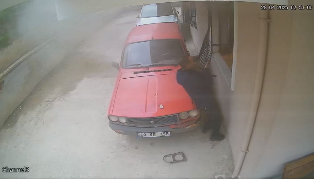 İki kardeş alevler arasından kurtarılmıştı! Çocuklar koruma altına alındı