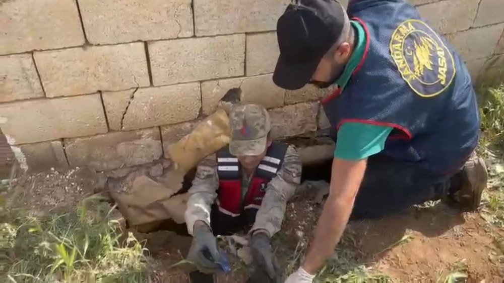Şanlıurfa’da dolandırıcı çetesi çökertildi: 5 tutuklama!