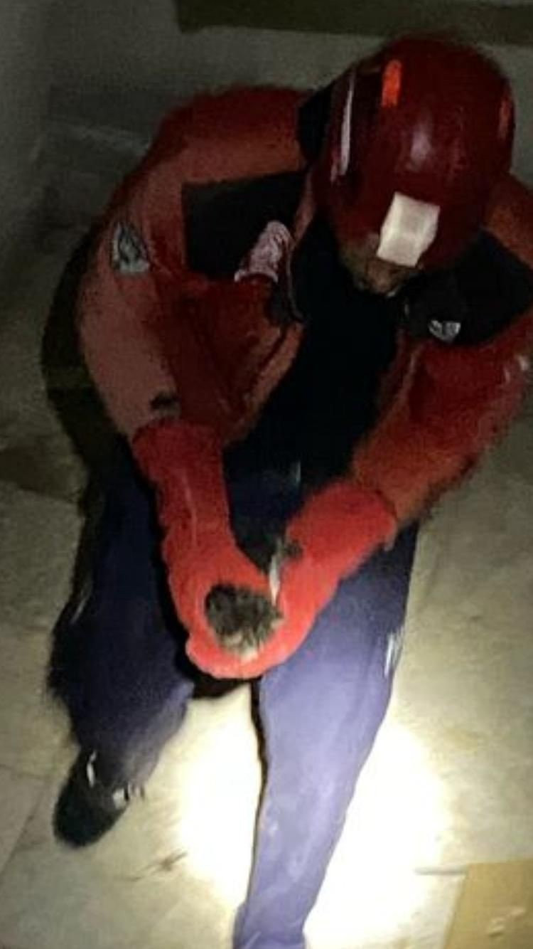 Apartman boşluğuna düşen yavru kedi kurtarıldı