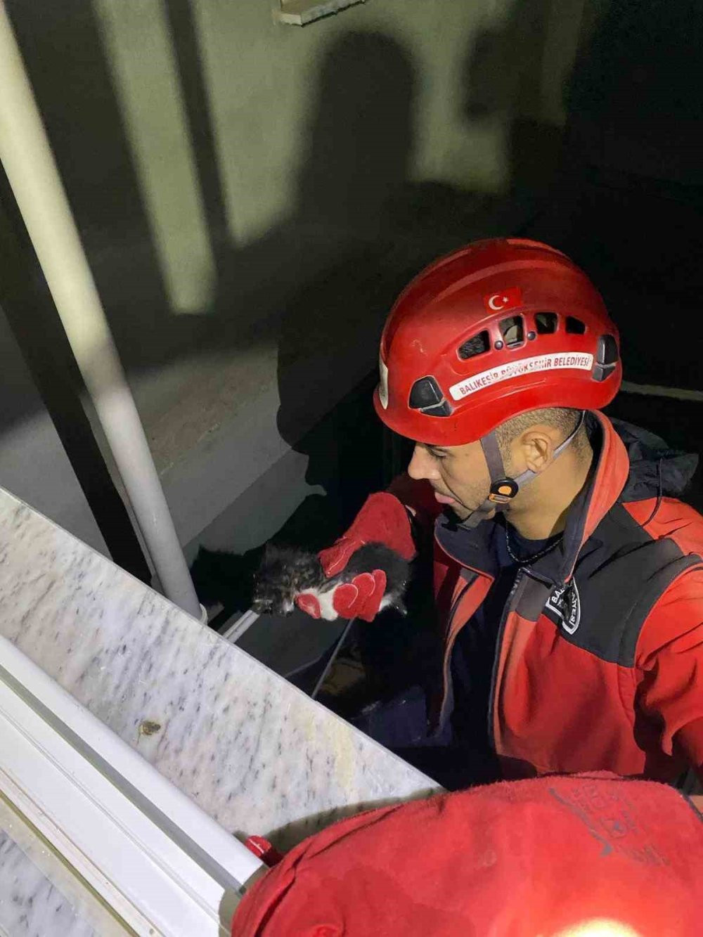 Apartman boşluğuna düşen yavru kedi kurtarıldı