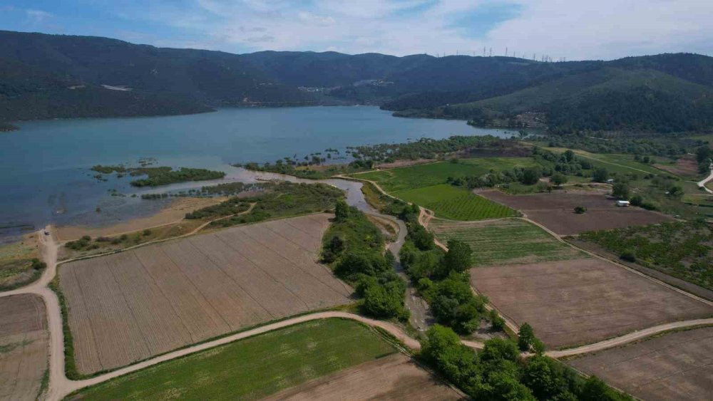 Gölbaşı Gölü’nde çiftçi isyanı: Hasat yok olmasın