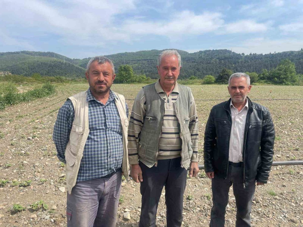 Gölbaşı Gölü’nde çiftçi isyanı: Hasat yok olmasın